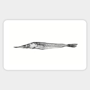 Ocean Fish Sticker